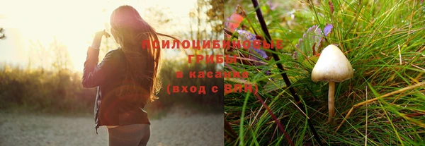 PSILOCYBIN Надым